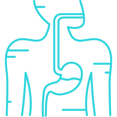 Digestive Screening Digestive Screening