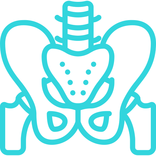 Joints Screening Joints Screening