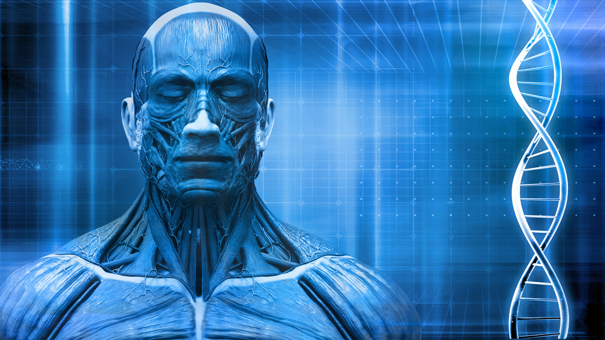 Imaging Tests: A Look Inside Without the Cut