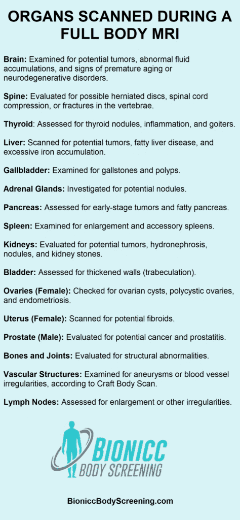 List of body organs scanned during a full body MRI