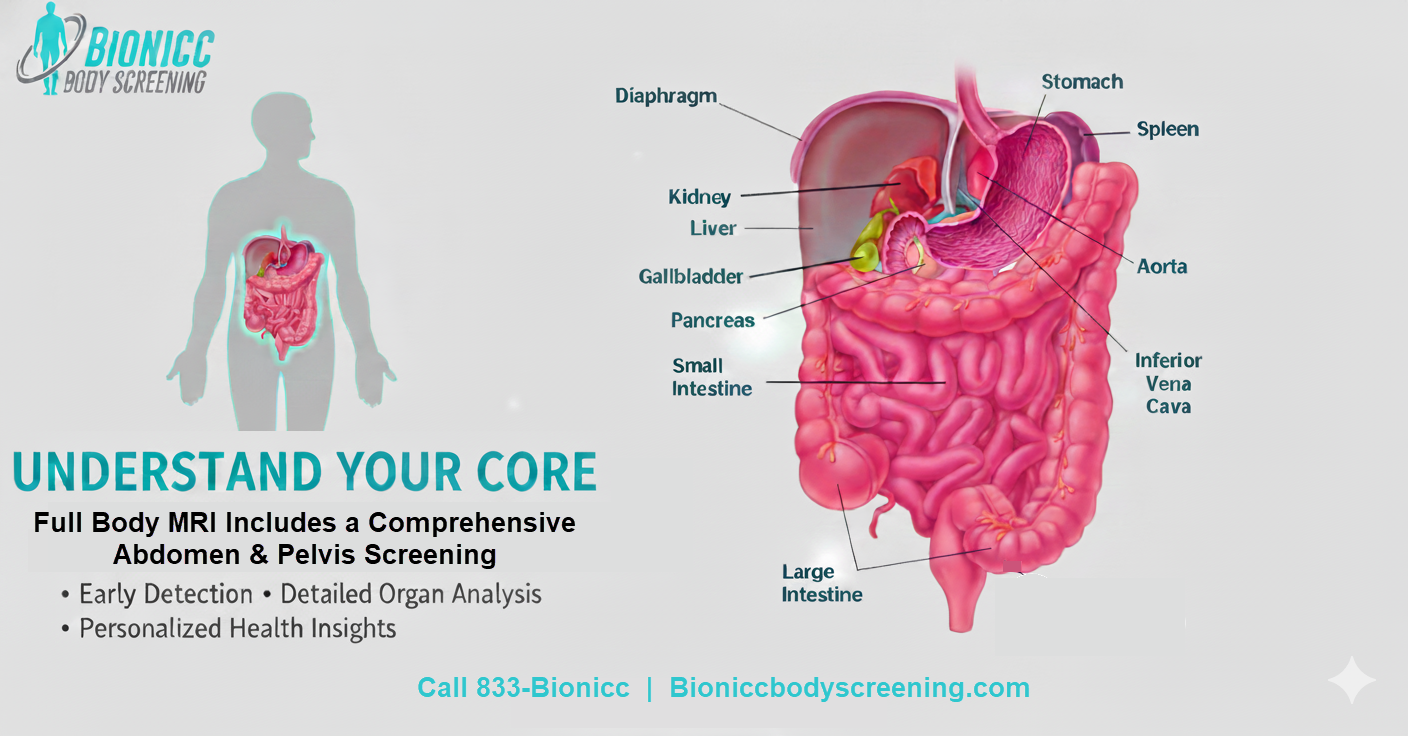 Full Body MRI: Redefining Early Disease Detection and Proactive Health Screening